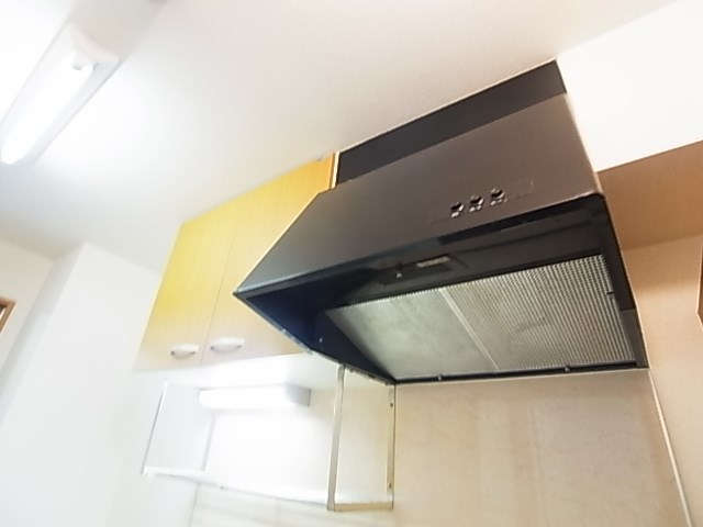 ステラ２１０ その他14