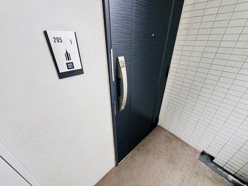 ＳＨＩＮＳＵＩ　ＲＥＩＷＡ　 その他18
