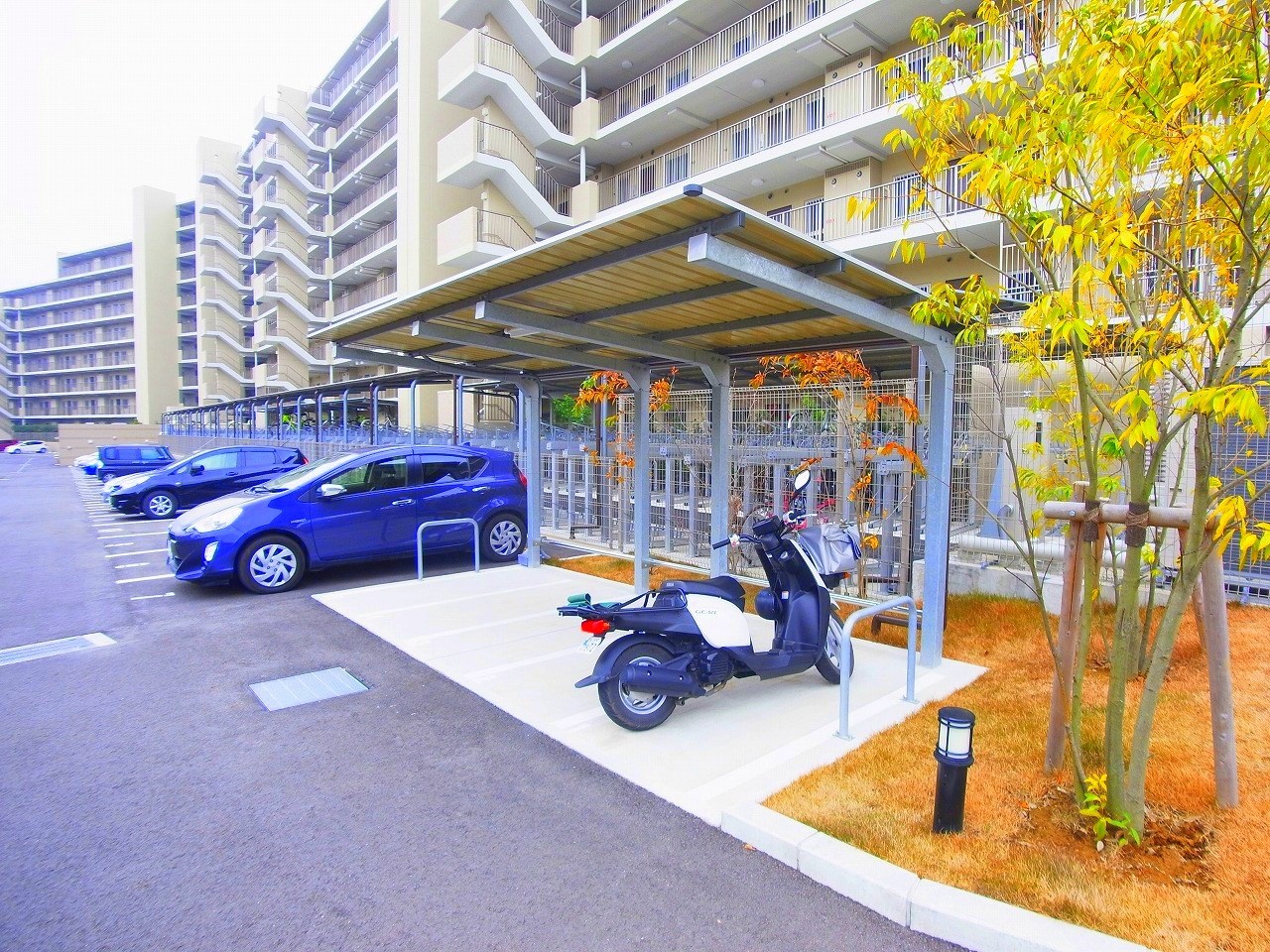 クレストフォルム柏サウスウイング 駐車場