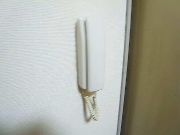 ジュネパレス柏第78 その他3