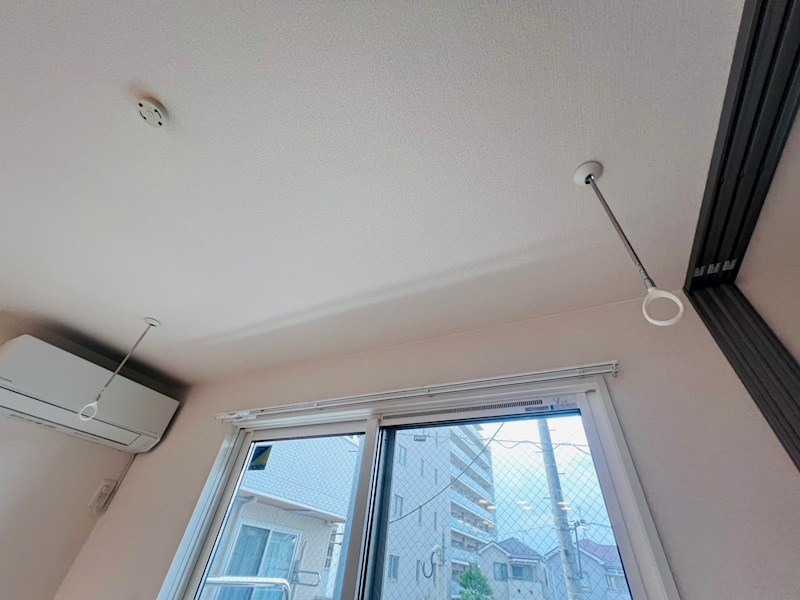 セレスティア扇Ⅵ その他