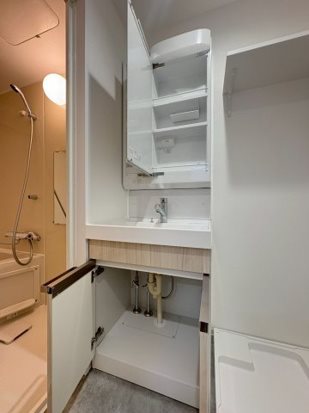 DIPS竹ノ塚駅前 その他12