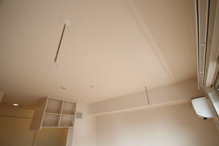 ｐａｒｋ　ｗｉｓｔｅｒｉａ その他9