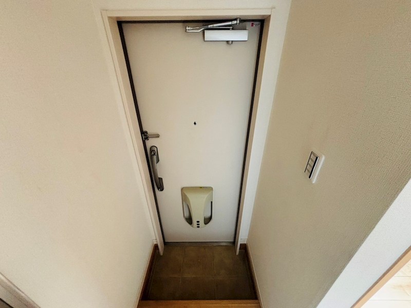 Amour Valle Fiume その他12