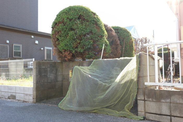 グリーンハウス その他外観1