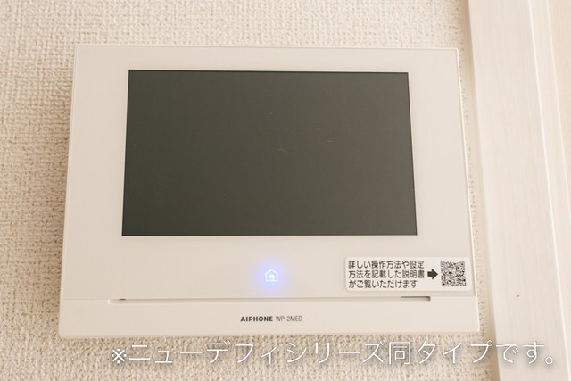 ストロベリーカーサⅠ その他3