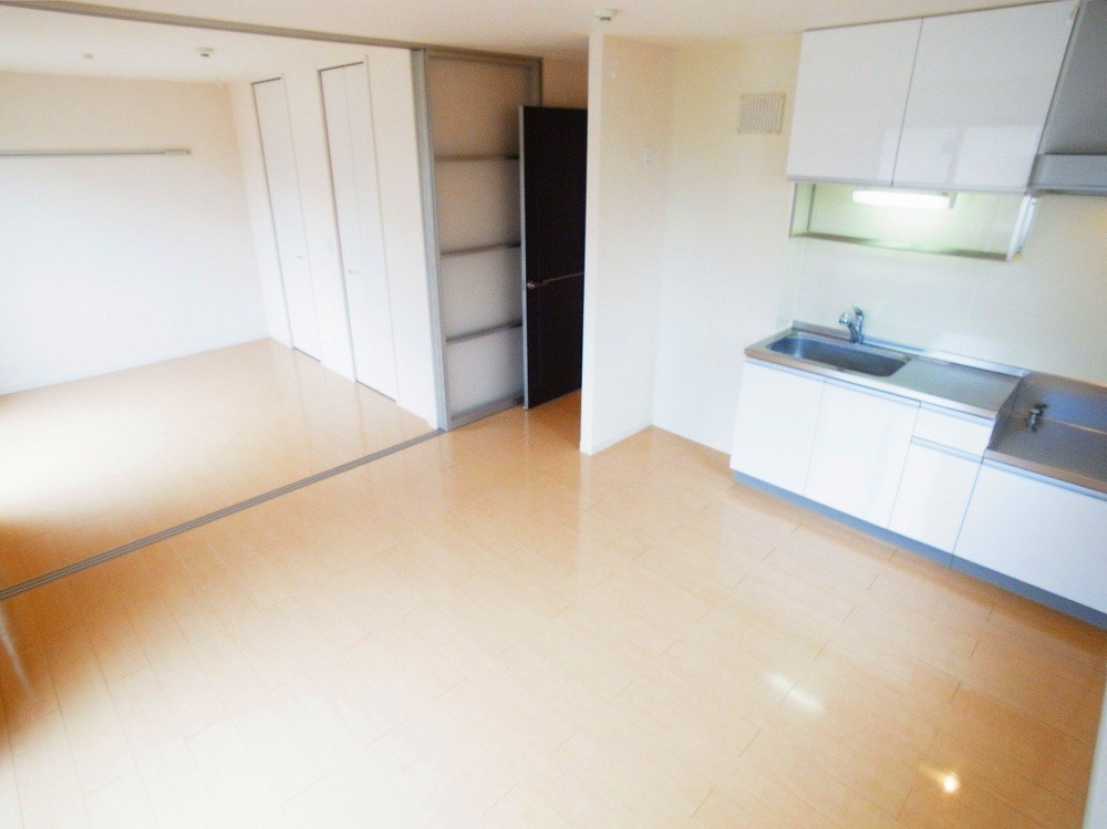 Ｐａｌａｉｓ　ｄｏｒ　Ｖｉｌｌａ　 リビング