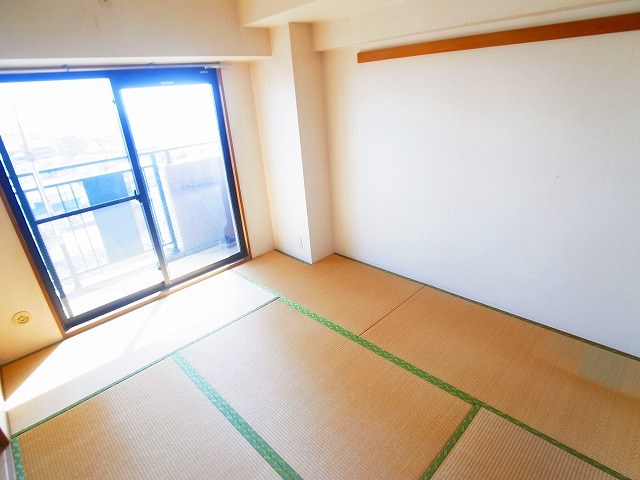 グランディス新八柱 その他12