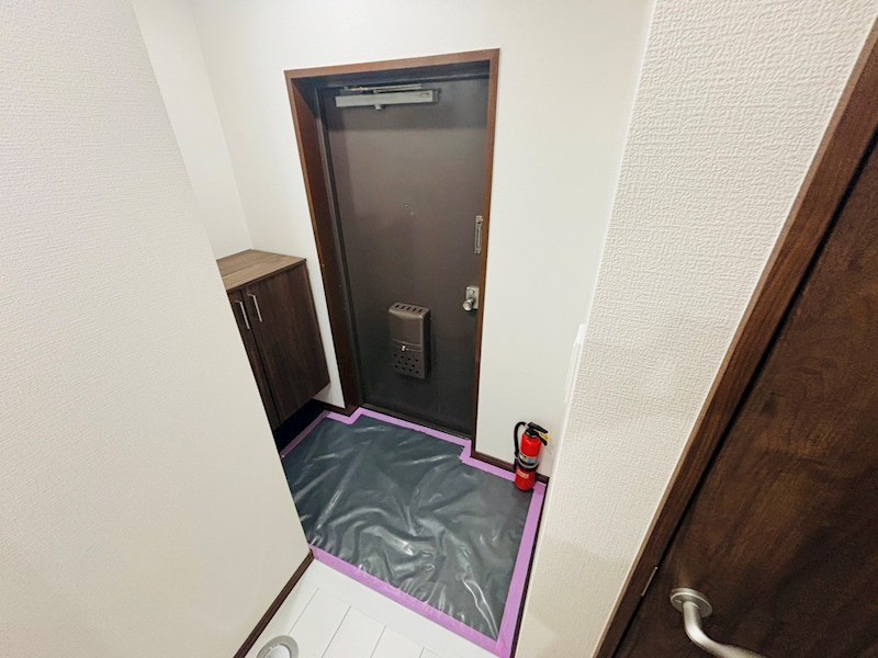 高南ダイアパレス南柏 玄関