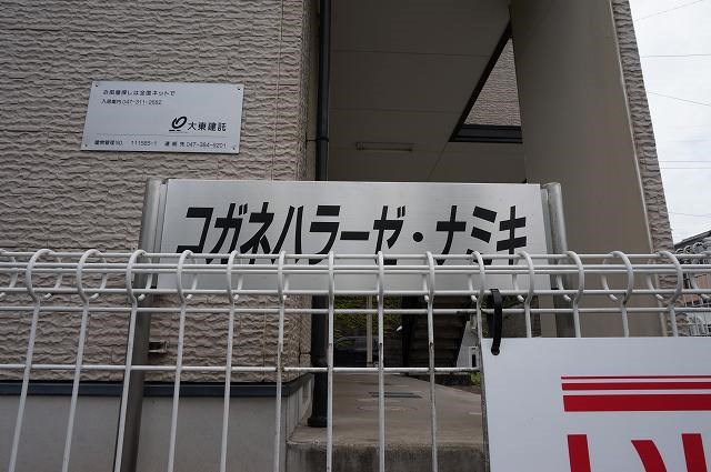 コガネハラーゼ・ナミキ その他外観2