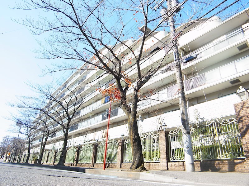 サンパセオ新柏アネックス 807号室 外観