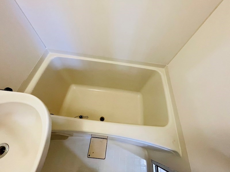 ニューコーポ東和 その他12