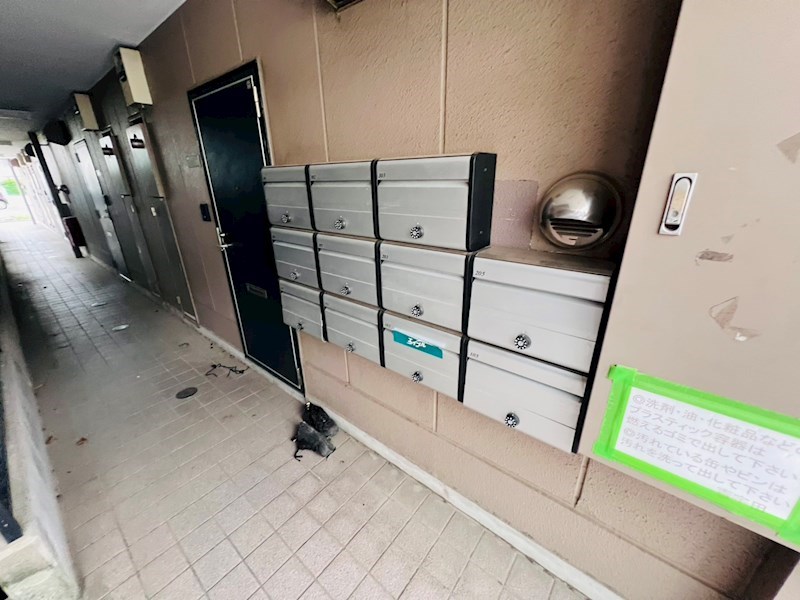 エステート奥戸 その他外観3