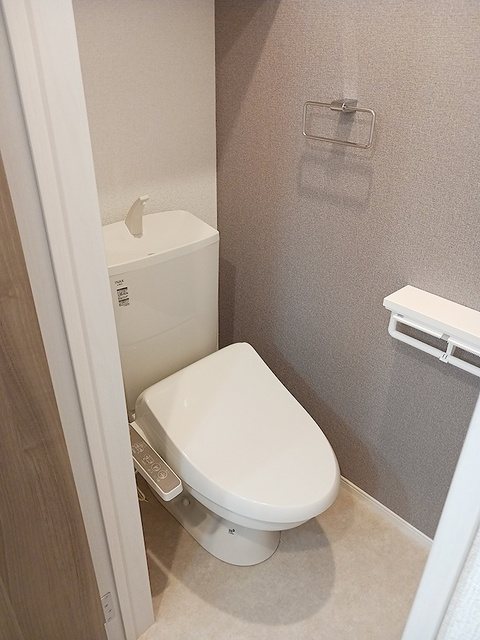 ストロベリーカーサⅠ その他1