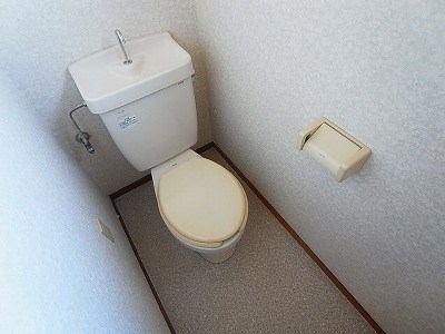 Ysフローネ その他1