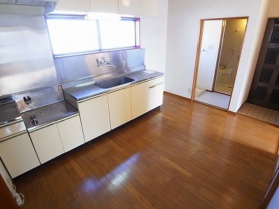 Ysフローネ その他4
