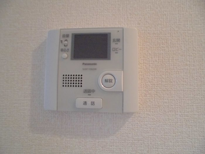 レクレドール セキュリティ
