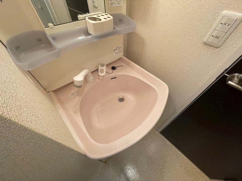 セジュール その他