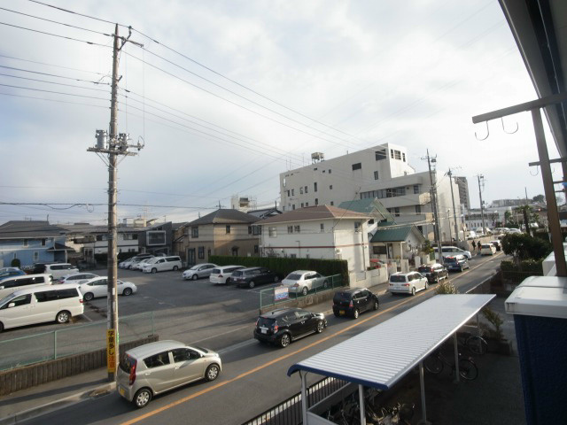 パールハイツマツバ その他4