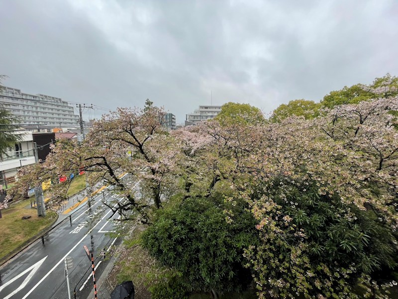 ルーブル綾瀬 眺望