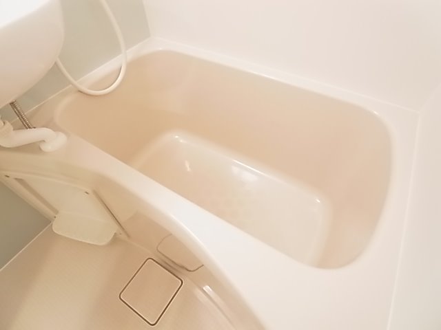 ロイヤルブルーゲート五反野 洗面所