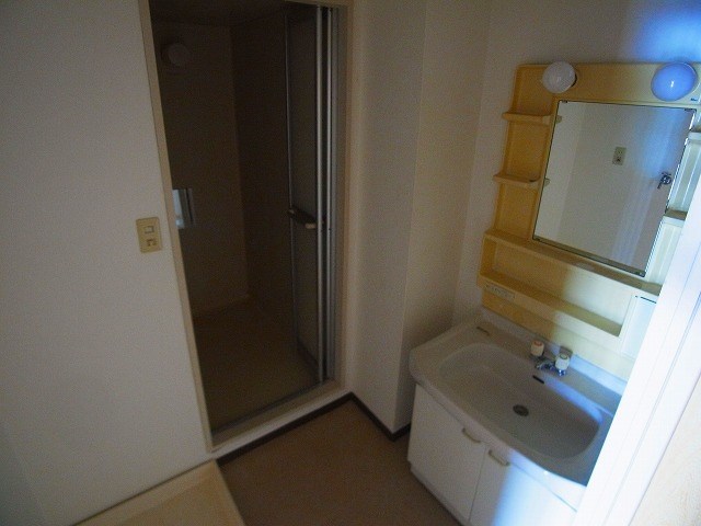 モアグレース竹ノ塚 洗面所