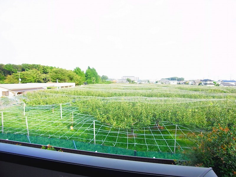 Pear Field B 眺望