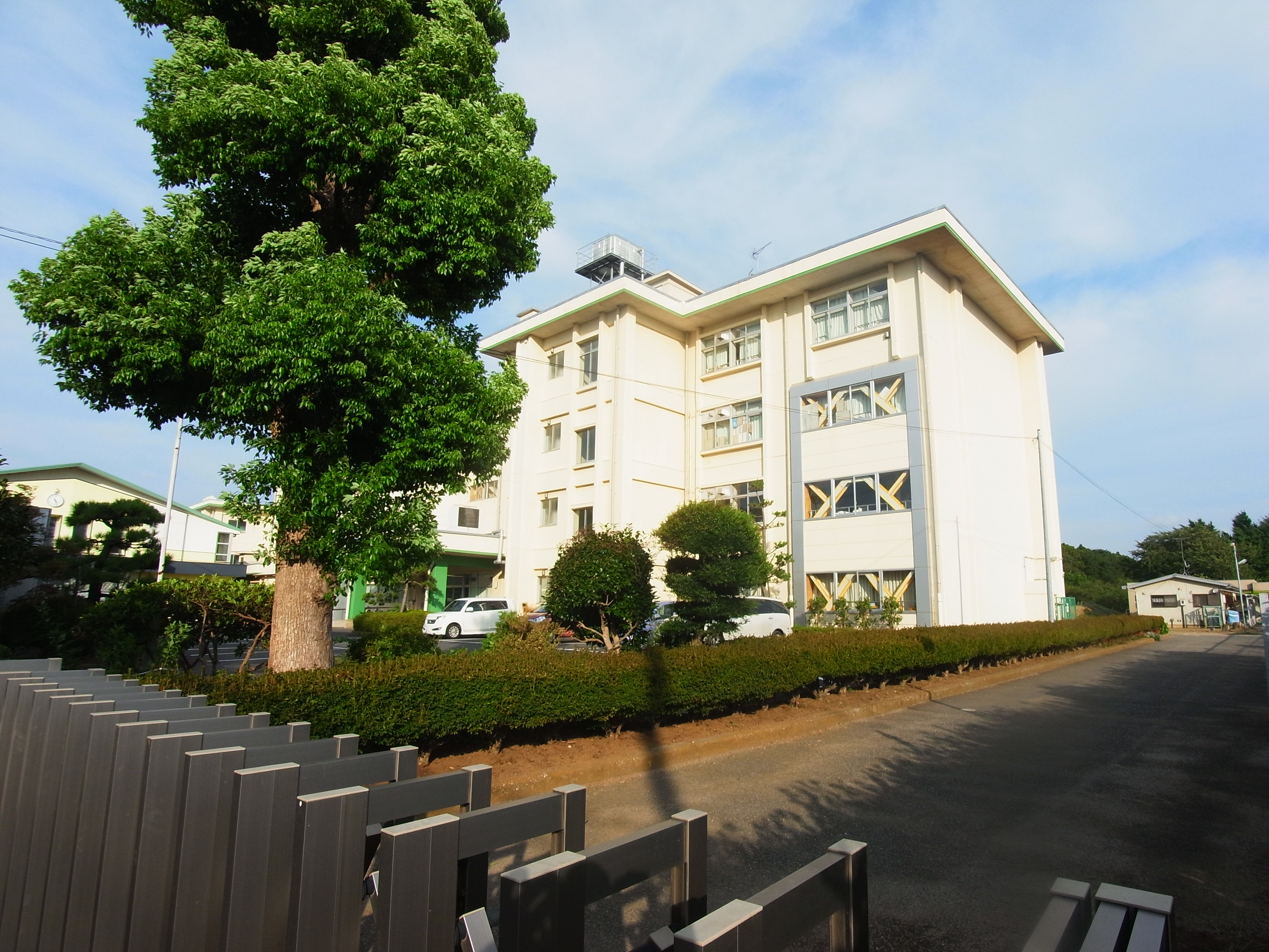 Pear Field B 小学校