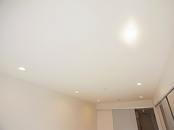 リブリ・シャンス その他