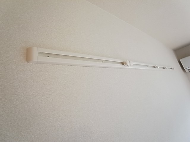 ルピナ その他
