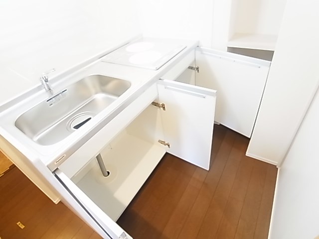 ジプソフィリア その他