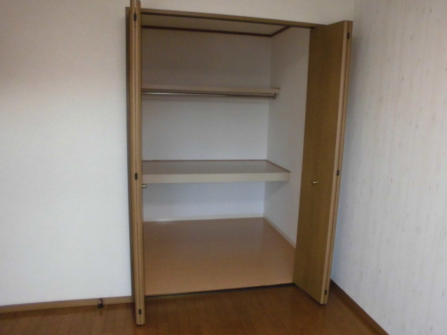 サンフラワー その他