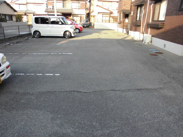 サンフラワー その他