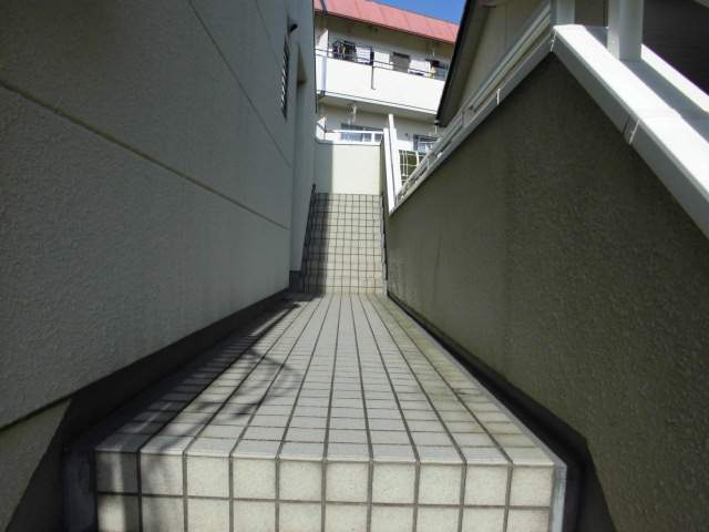 ルサルカ その他
