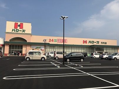 エクセレントＫ その他