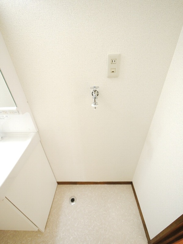シスタス その他