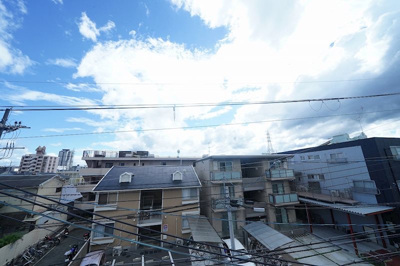 Whisker31 眺望