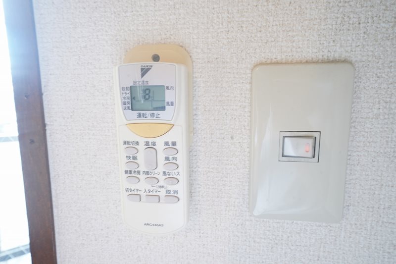 Whisker31 その他