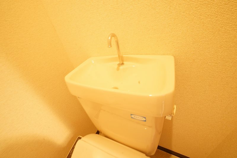 Whisker31 その他
