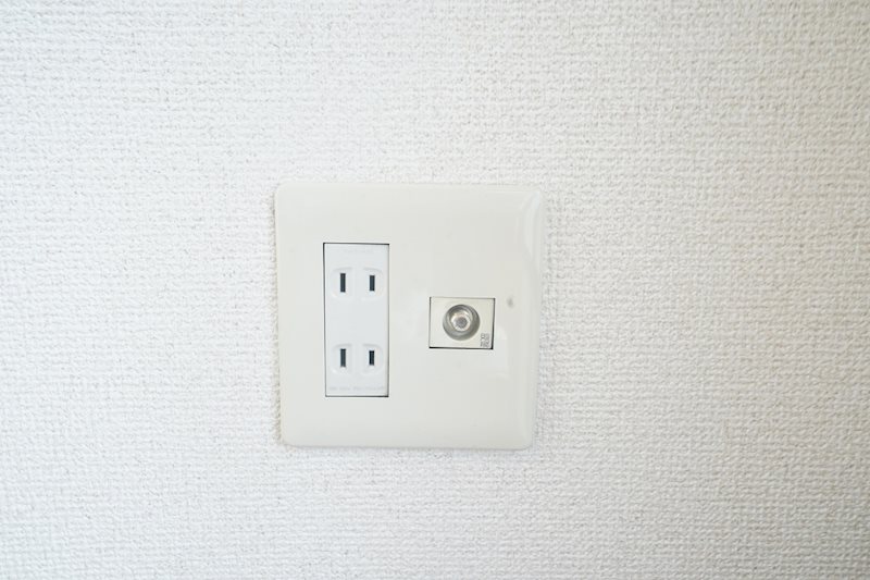 Whisker31 その他
