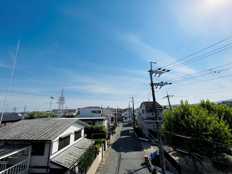 DANRAN Ⅱ 眺望