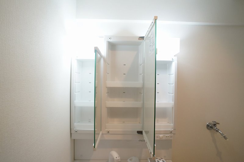 エクセル清涼 その他