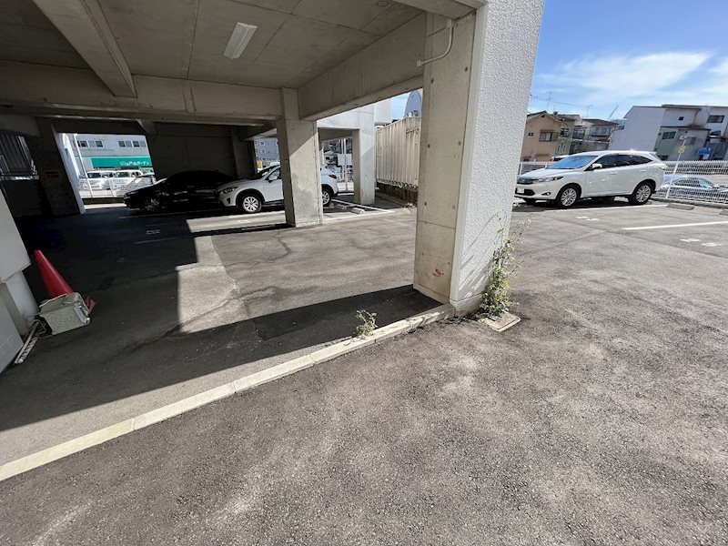 エピコット正 その他