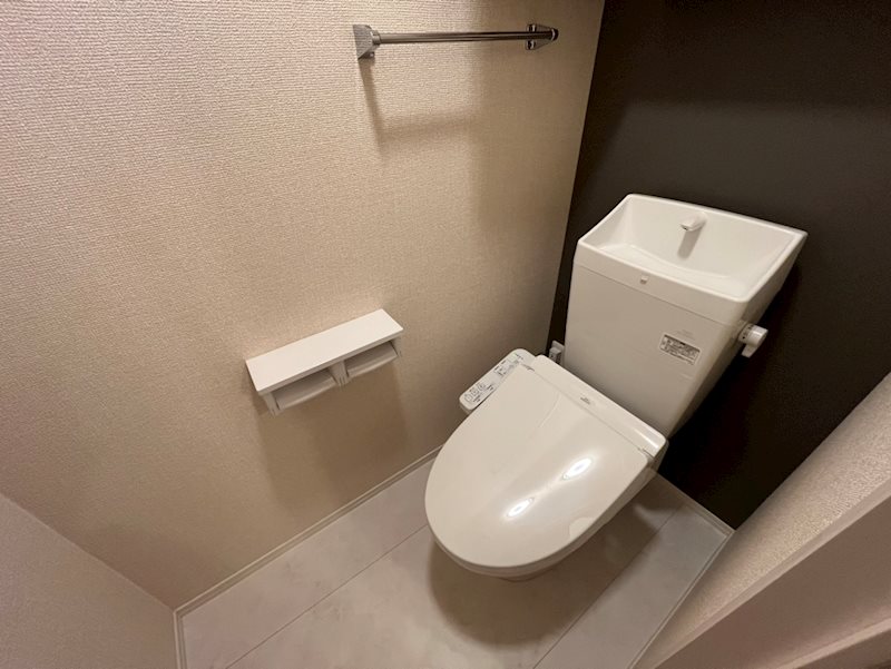 Ｄ－ＲＯＯＭ桂川 トイレ