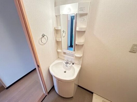 パレヴェール 洗面所