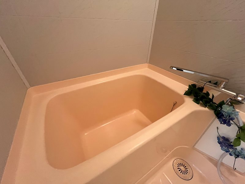 キャッスルササイ その他