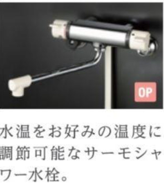 リントゥコト その他