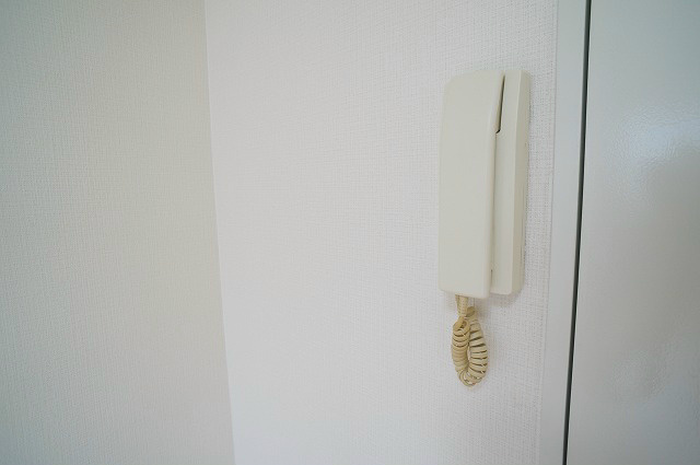カーサヴェルデ その他