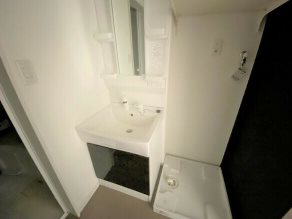 Prestige桂川 洗面所