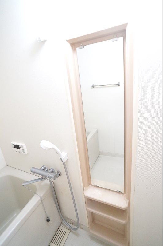 エクセル清涼 風呂画像